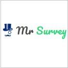 Mr Survey