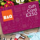 £250 B&Q vouchers