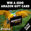 Enter And Win A £500 Amazon Spend!