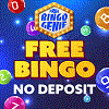 Free Bingo Games