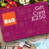 £250 B&Q vouchers